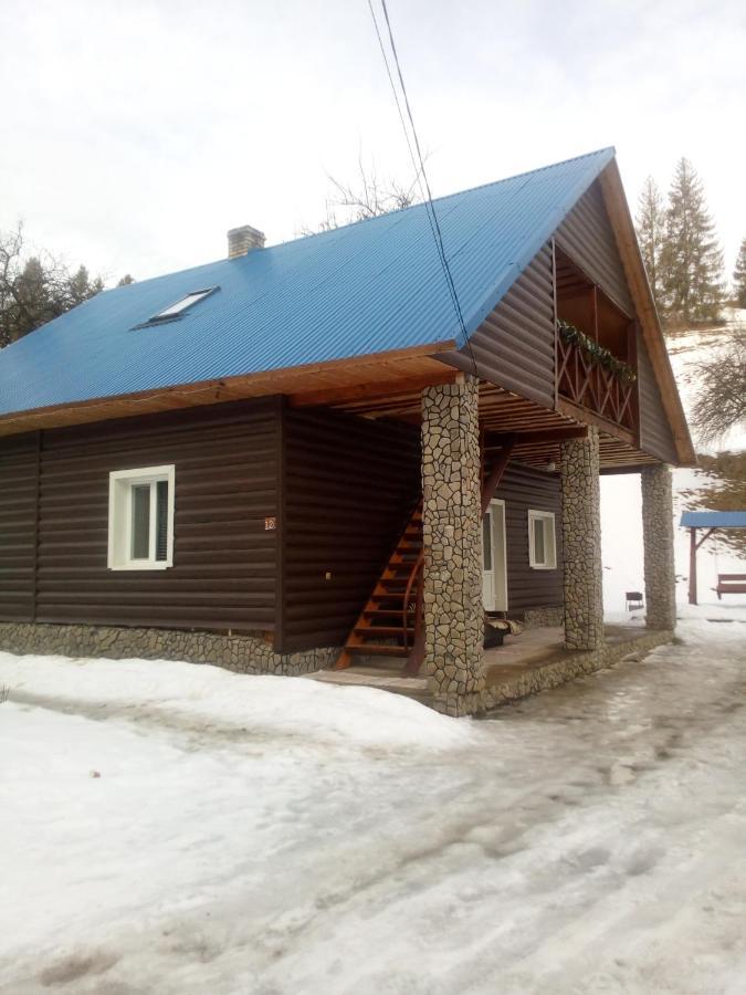 Villa "Відпочинок В Карпатах" Izky Exterior foto