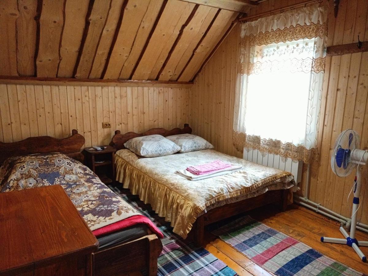 Villa "Відпочинок В Карпатах" Izky Exterior foto