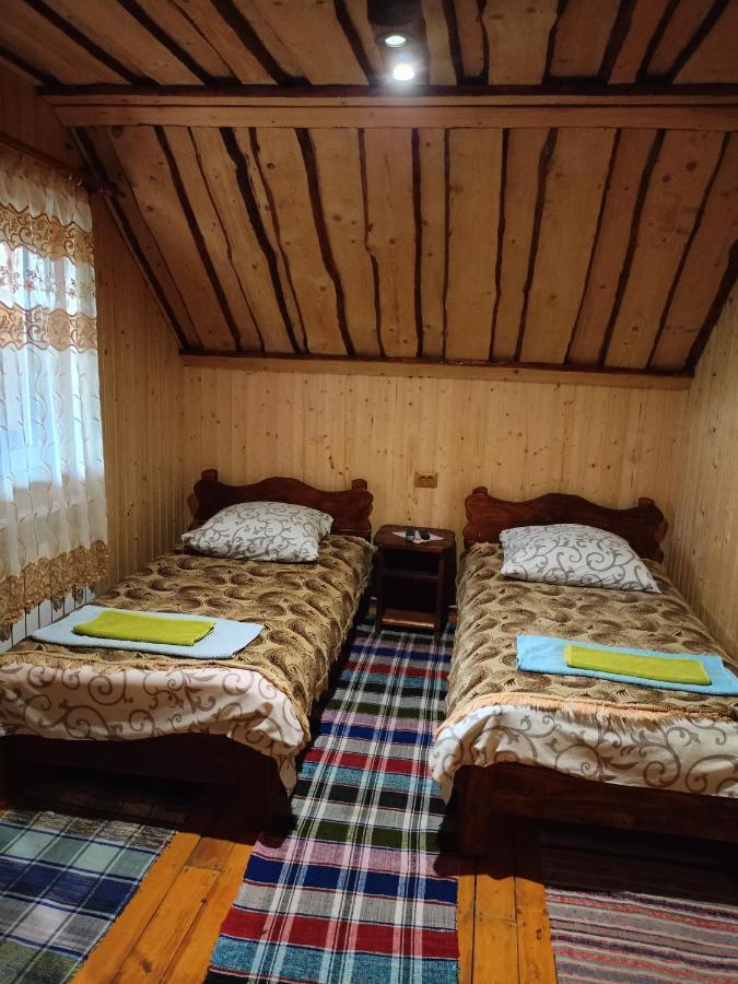 Villa "Відпочинок В Карпатах" Izky Exterior foto