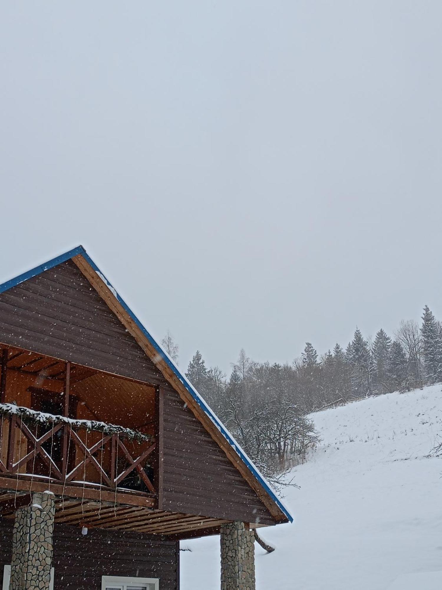 Villa "Відпочинок В Карпатах" Izky Exterior foto